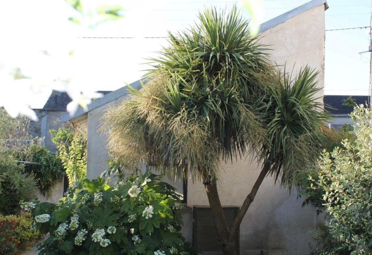 Duplex Confort Et Jardin Charmant 南特 外观 照片